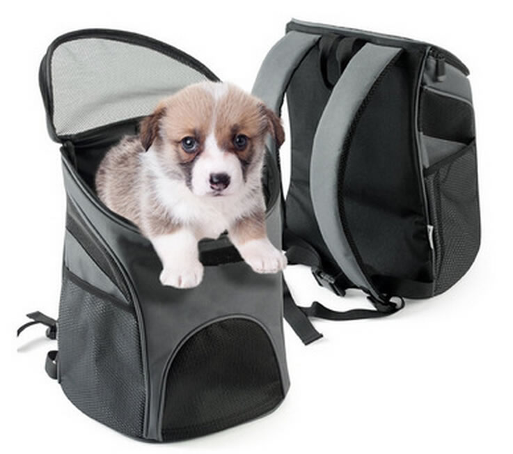 Popular Pet Backpack Bag For Dog, Cat